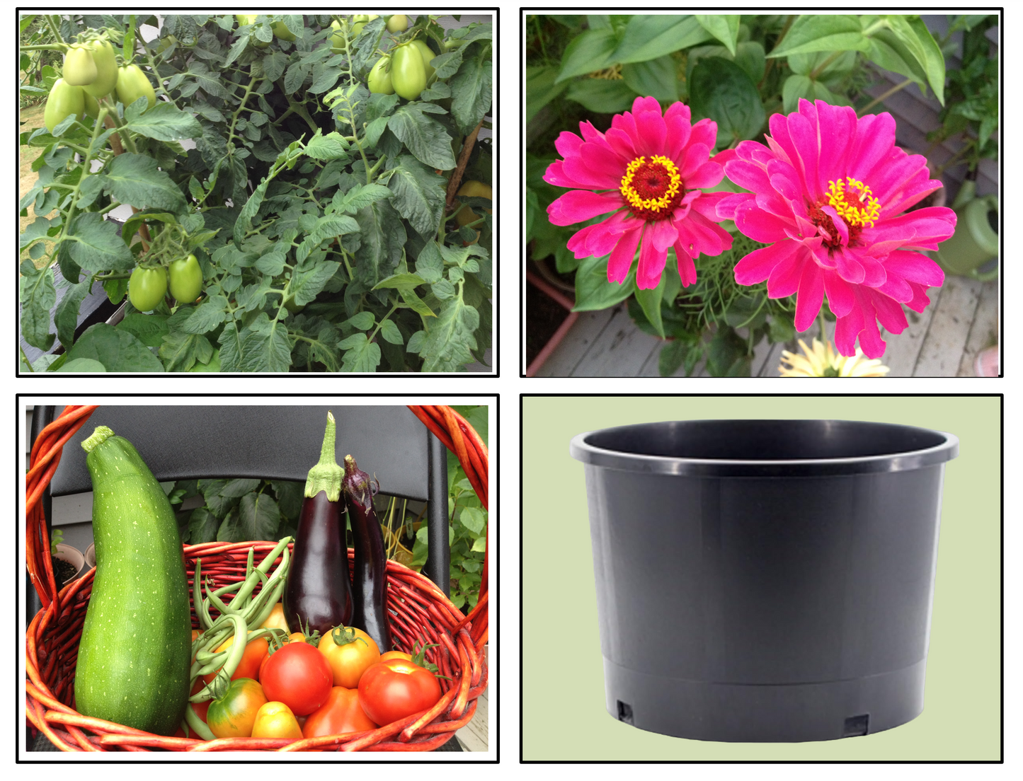 KD Black Nursery Pots, 5 Gallon Short, Plastic Garden Planters, Pots for Flower Seedlings, Injection Molded, Indoor Outdoor Plants Seedlings Vegetables and Flowers