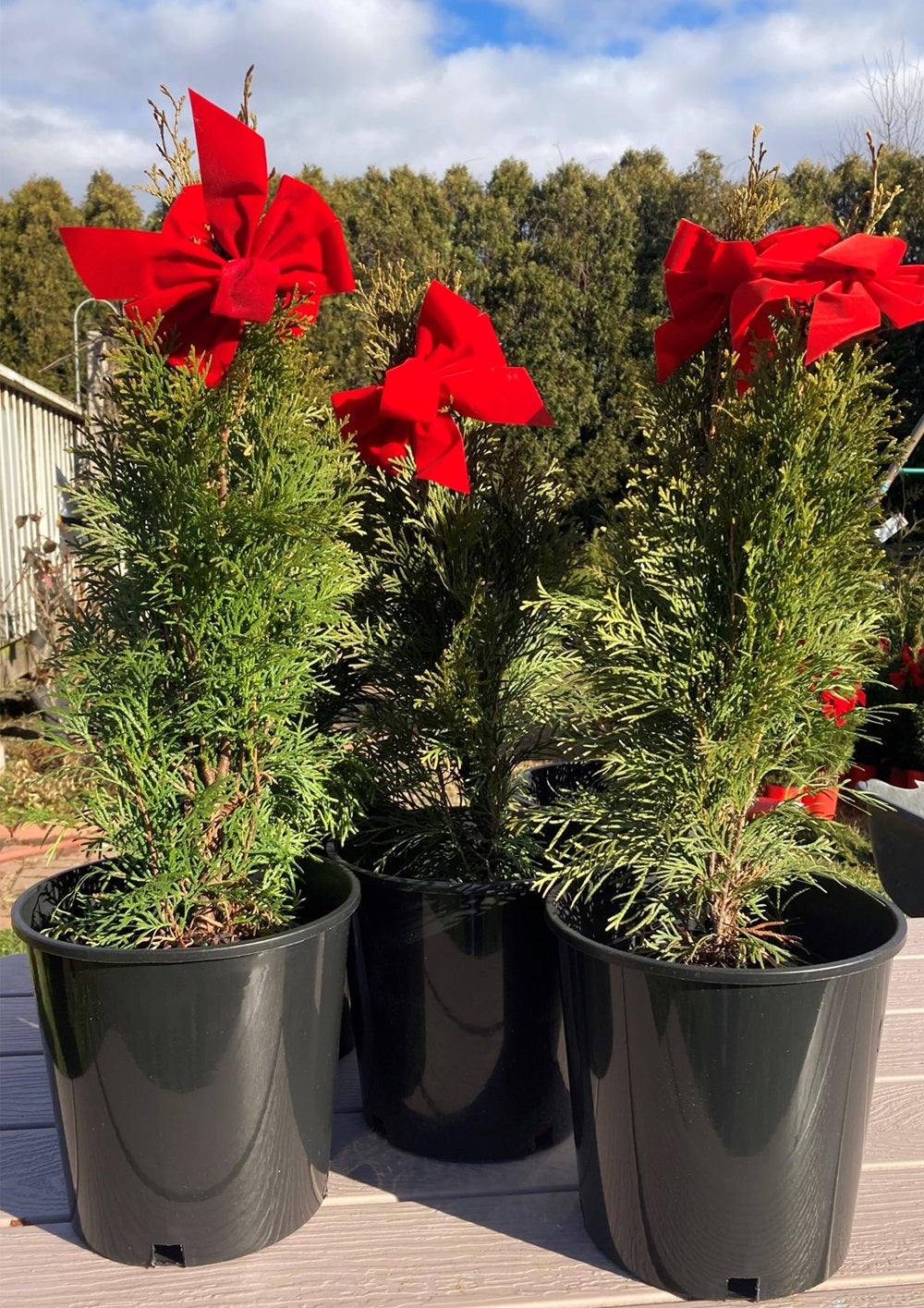 Reusable Nursery Pots, Plastic Garden Pots Planters, 2 Gallon